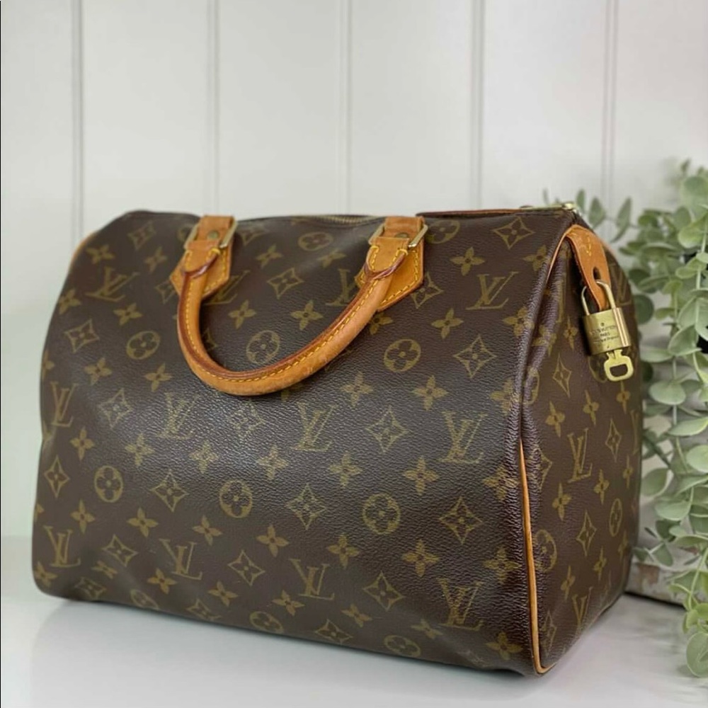Louis Vuitton Speedy 30 handbag